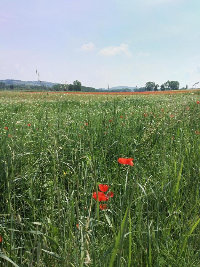 Monte Lopio Bio Agriturismo Pratini מראה חיצוני תמונה