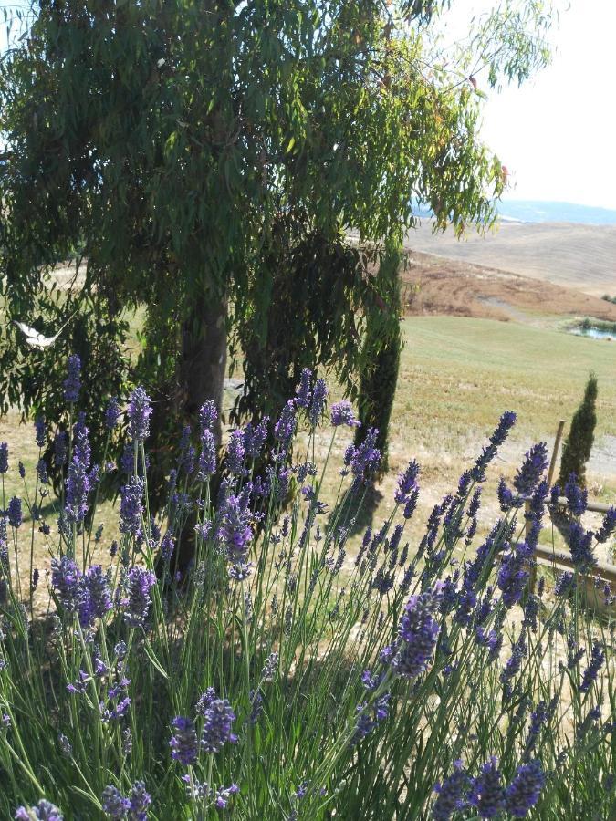 Monte Lopio Bio Agriturismo Pratini מראה חיצוני תמונה