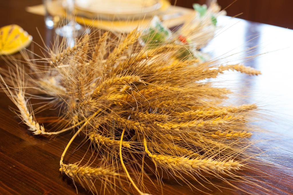 Monte Lopio Bio Agriturismo Pratini מראה חיצוני תמונה